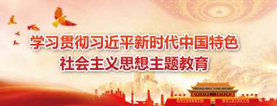 学习贯彻习近平新时代中国特色社会主义思想主题教育