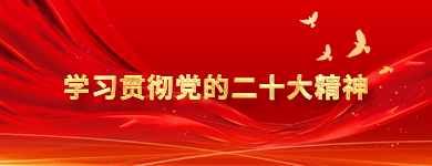 学习贯彻党的二十大精神
