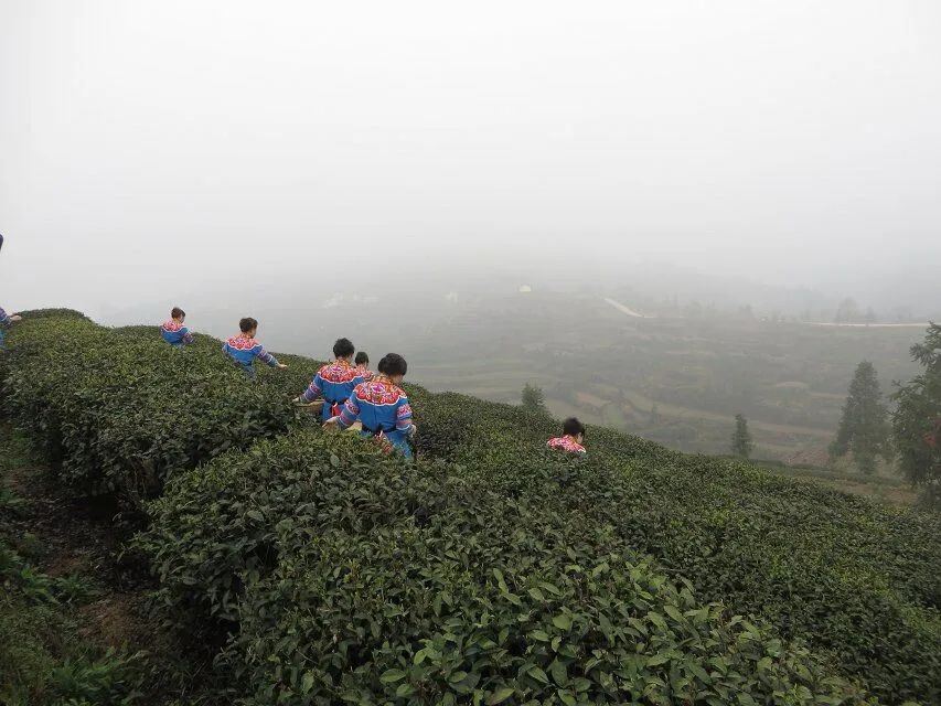 6348d35b1518f.jpg 微信图片_20221014110652.jpg