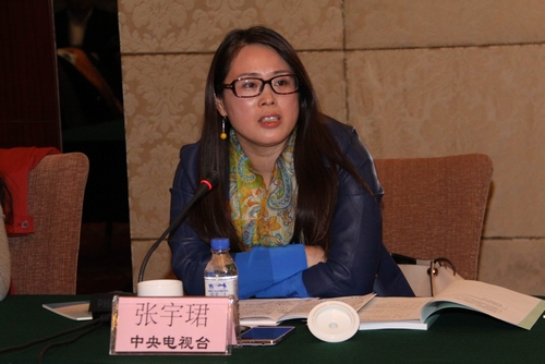 4.研讨会特邀专家€€€€中央电视台地方部制片人张宇€€做现场点评.jpg