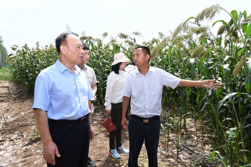 5d774b7c7c601.jpg 11、考察淮河粮食产业基地调研支持新型产业联合体发展情况_副本.jpg