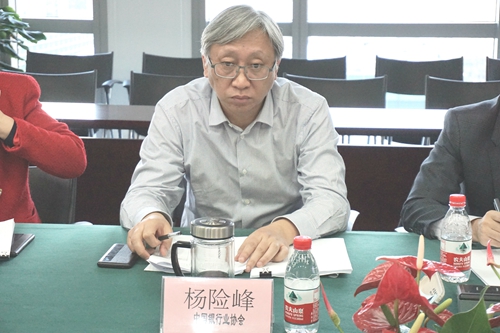 3.中银协第一副秘书长杨险峰致辞.jpg