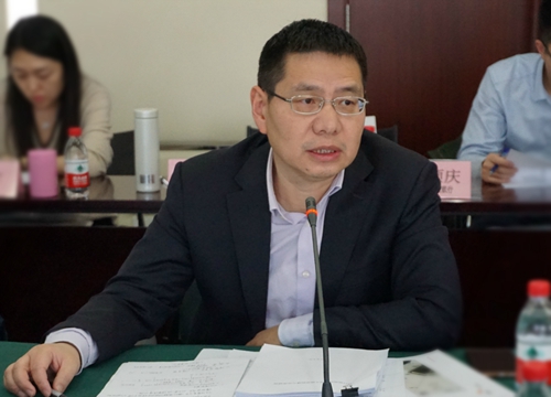 5.课题组长单位国家开发银行财会局成俊副局长发言.jpg