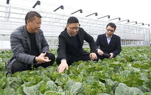 5eba030a3c061.jpg 5eba030a3c061.jpg