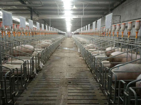 5ebdfd575cdc9.jpg 06200a2a7df0f50bd1c66b93498983e9.jpg