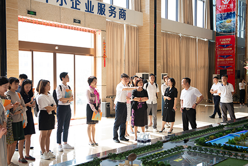 调研平阳万洋众创城.jpg