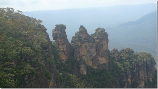 11923_d58fa5ff5bf04a0_thumb