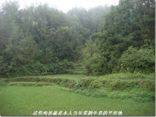 11923_d64c83133626ffc_thumb