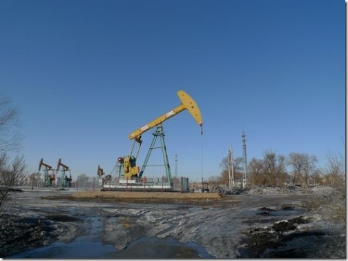 11923_27827fe6b19d09a_thumb