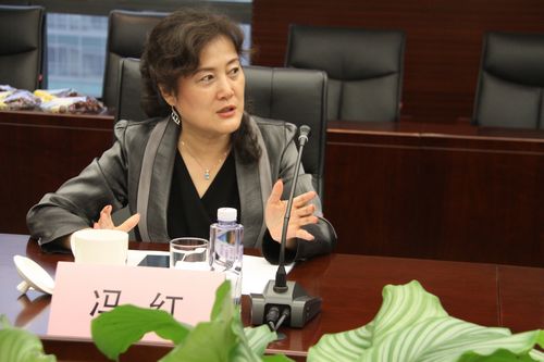 1.中国银行业协会副秘书长冯红讲话.JPG 1.中国银行业协会副秘书长冯红讲话.JPG