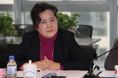 中国银行业协会副秘书长 冯红.JPG 中国银行业协会副秘书长 冯红.JPG