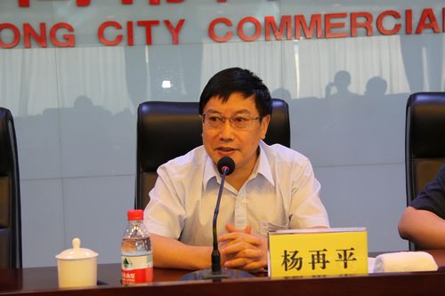 1杨再平专职副会长讲话.jpg
