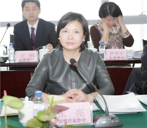 2-中国银行业协会副秘书长兼城商行工作委员会专职副主任张亮主持会议.jpg
