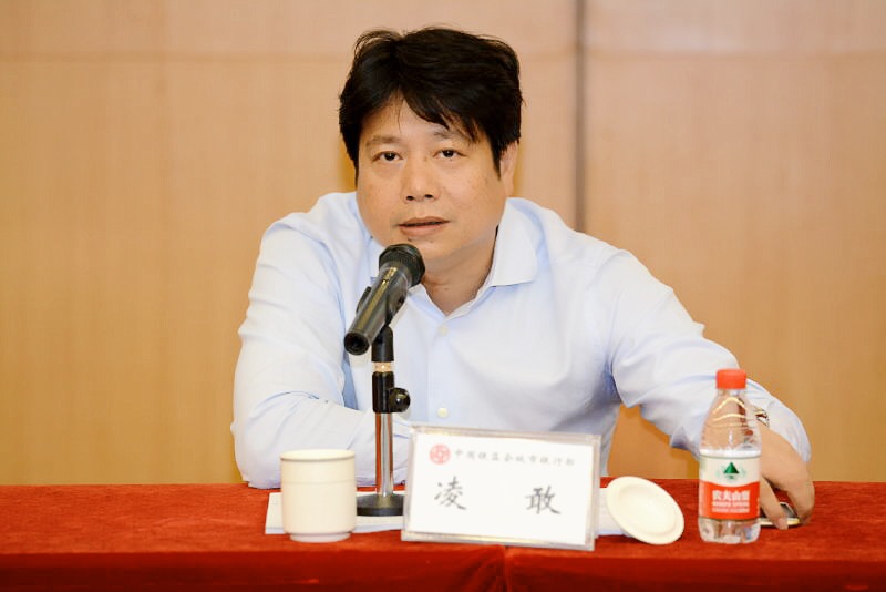 银监会城市银行部主任凌敢讲话.JPG