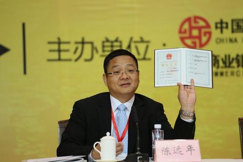 6 中银协秘书长陈远年主持会议并宣读民政部颁发的登记证书.jpg