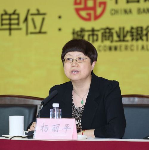 4银监会监管二部主任杨丽平讲话.jpg