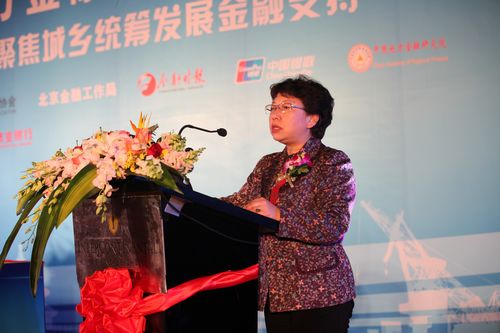 10北京市金融工作局局长王红.jpg