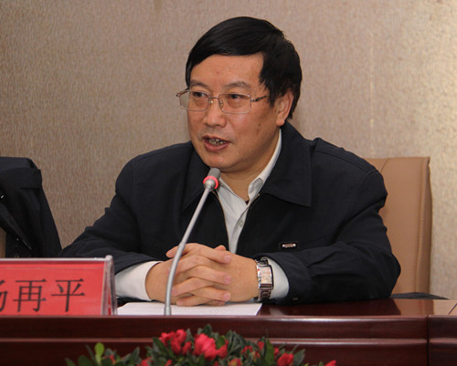 1杨再平专职副会长发表讲话_副本.jpg