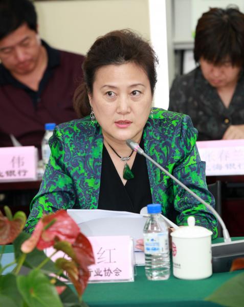 5冯红副秘书长提请审议议案.jpg 5冯红副秘书长提请审议议案.jpg