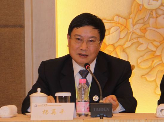 2中国银行业协会专职副会长杨再平出席会议并作重要讲话.jpg