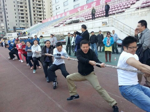 我会员工参加拔河比赛.JPG