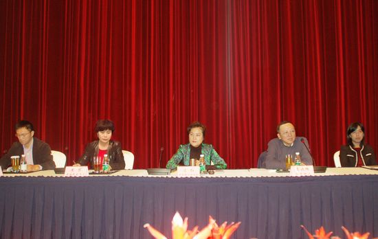 1.冯红副秘书长出席会议.jpg