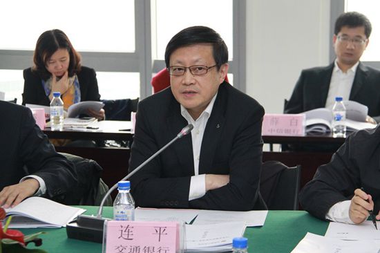 2-行业发展研究委员会主任连平首席经济学家讲话1_副本.jpg