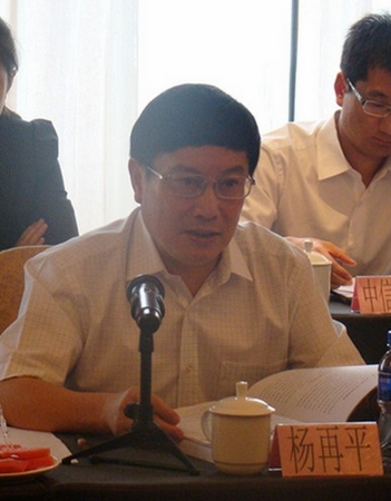 2杨再平专职副会长讲话.jpg
