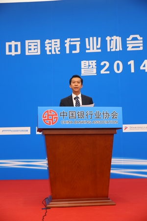 中国银行业协会副秘书长周永发发布《中国汽车金融公司行业发展报告》.jpg