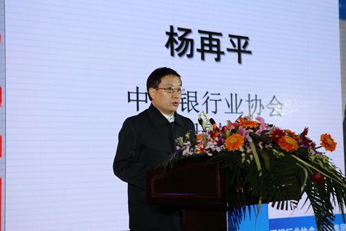 1.中国银行业协会专职副会长杨再平致辞_副本.jpg