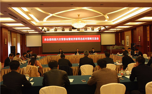 会议现场1.jpg