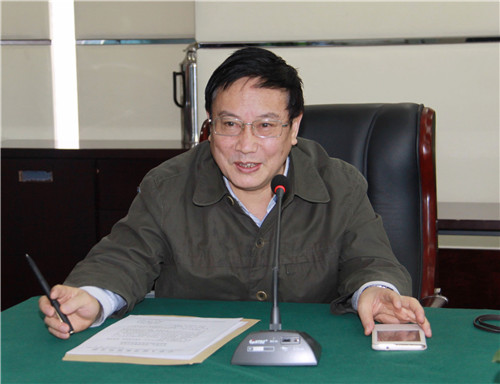 2杨再平专职副会长发言.jpg