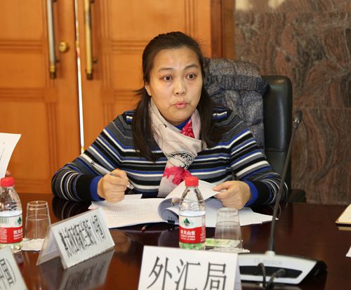 12外汇资本司副处长朱敏_副本.jpg 12外汇资本司副处长朱敏_副本.jpg
