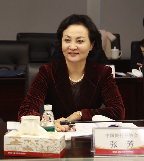 5.中国银行业协会党委委员、副秘书长、农合委专职副主任张芳主持会议并总结.jpg